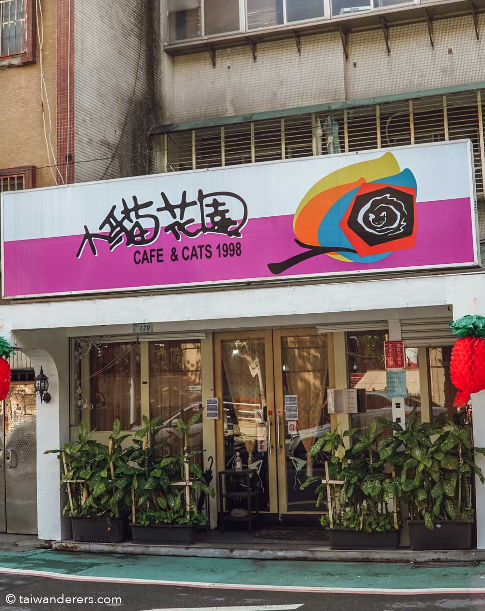 first cat cafe in Taipei