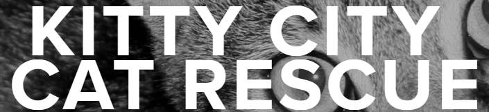 kitty cat rescue logo