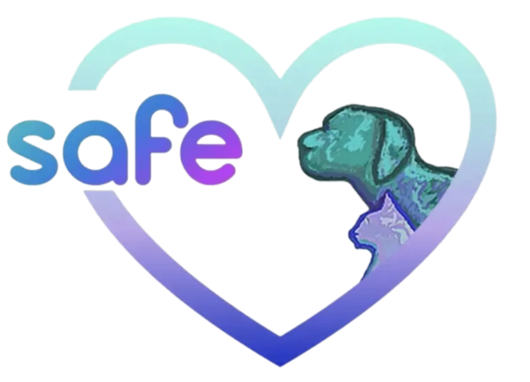 SAFE logo