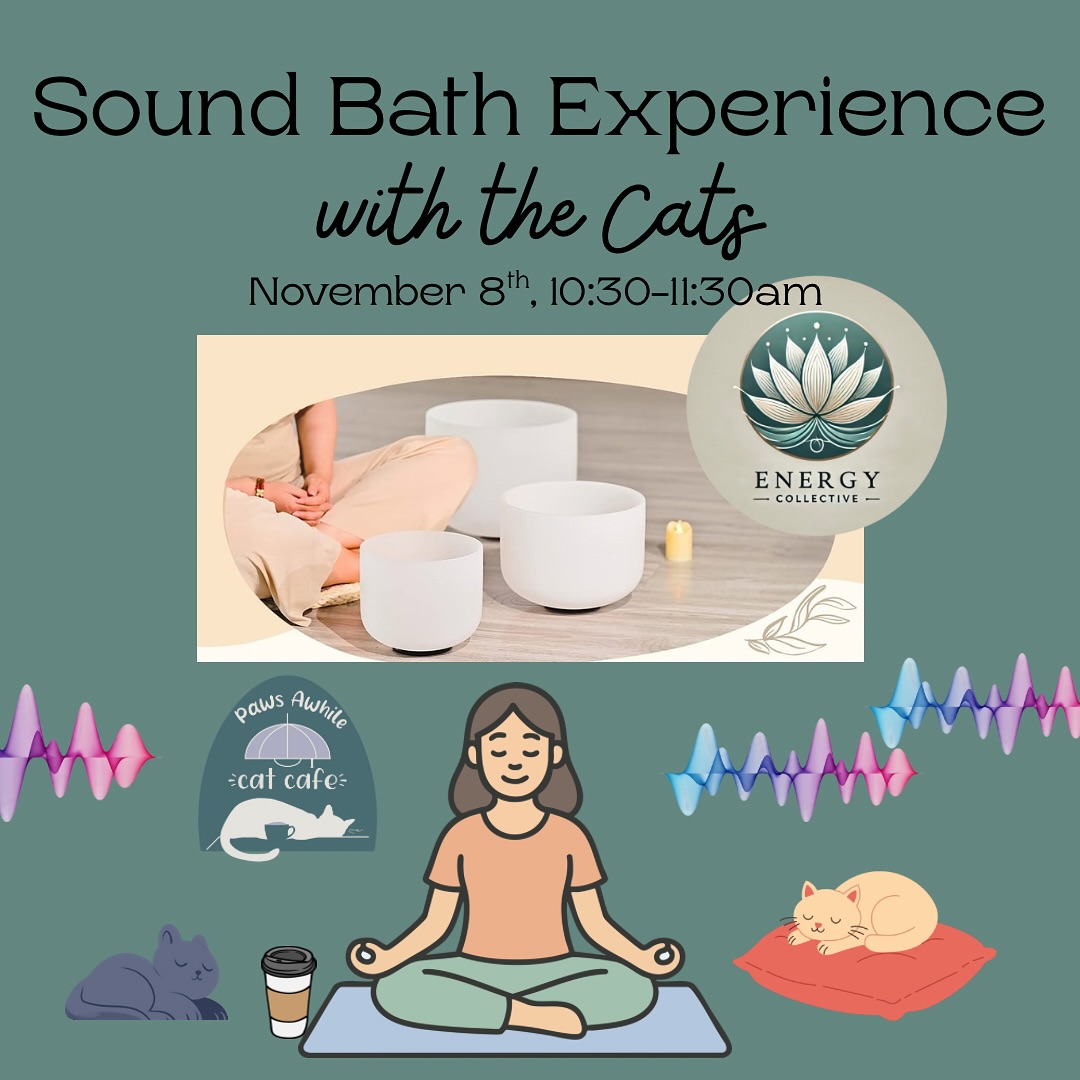 sound bath with cats promo paws awhile