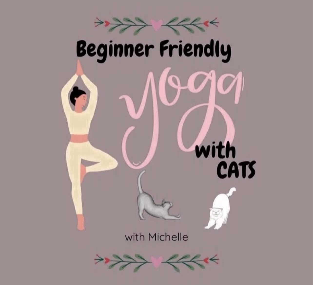 yoga with cats promo paws awhile
